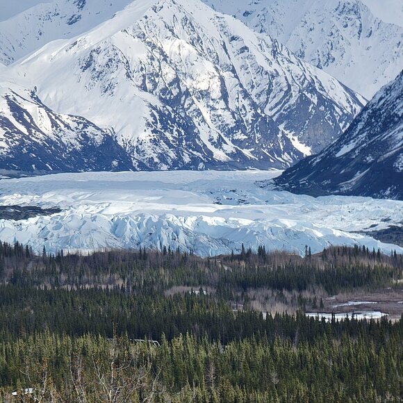 Meet your Posher, Fred - Picture 1 of 2